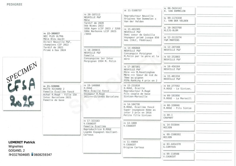 LEMERET Patrick péd
