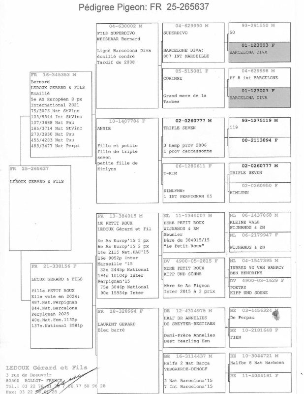 Ledoux vente Albert 2026 page