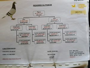 MIGNIEN Pierre Fils Ped2