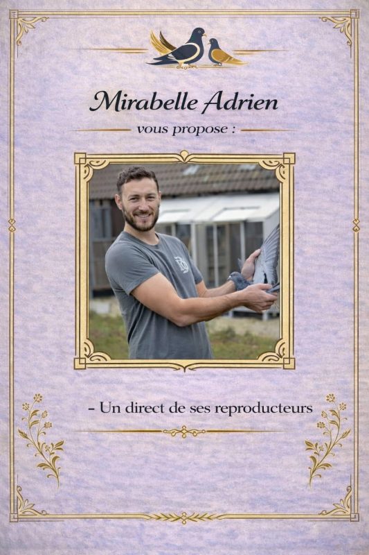 N° 11 : MIRABELLE Adrien