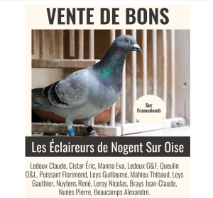 Vente de Bons : Les Éclaireurs de Nogent Sur Oise (Groupement de l’Oise 60 ,7éme région)