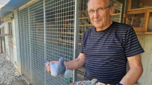 N° 16 : Jean Pachla