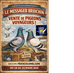 Vente de Bons : Messager Briochin de ST BRIEUC – 22120