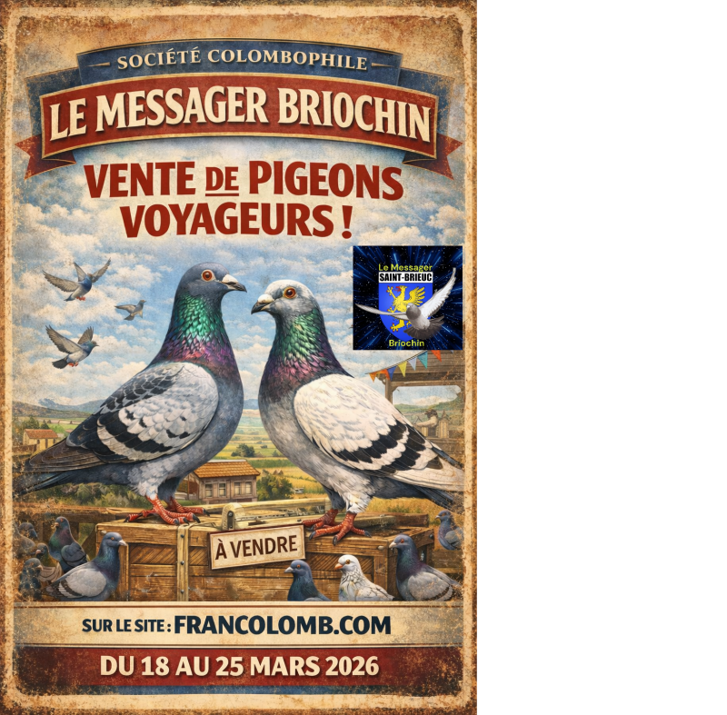 Vente de Bons : Messager Briochin de ST BRIEUC – 22120