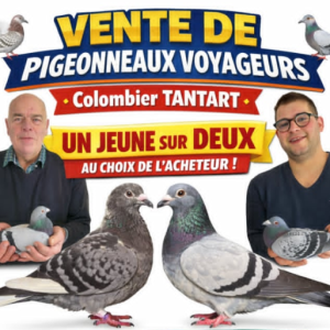 Vente : Colombier TANTART Roger & Ludovic