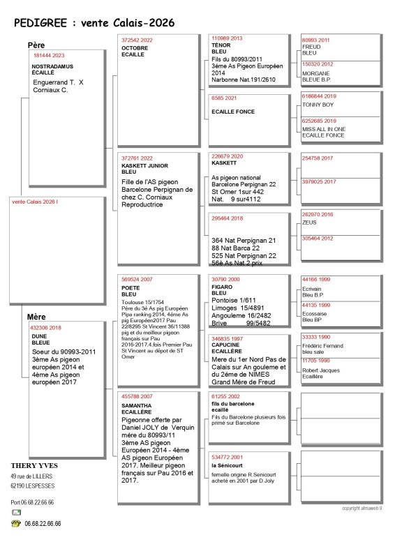 Théry grpt calais 2026