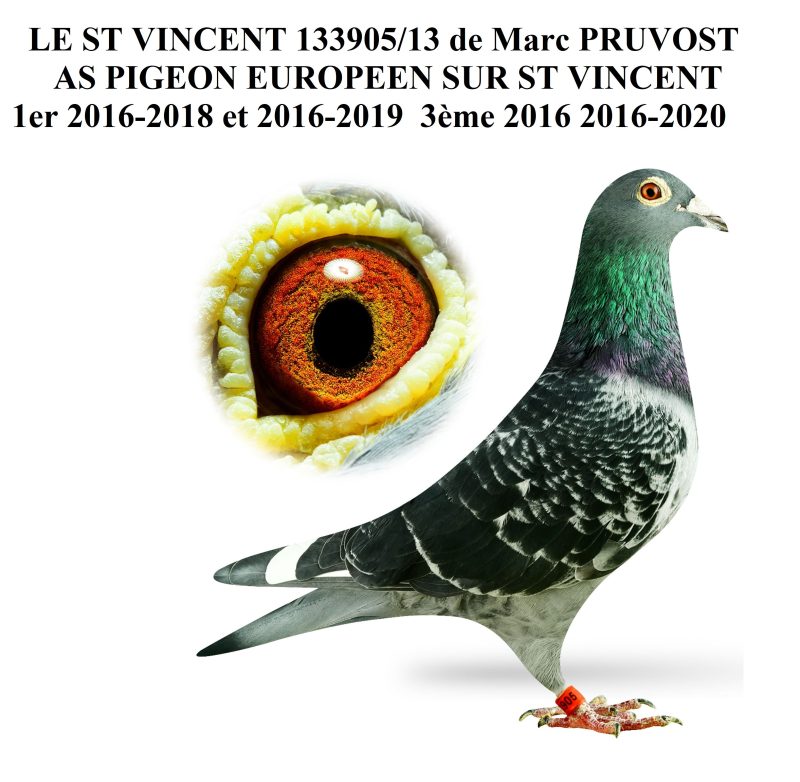 St vincent pruvost 13