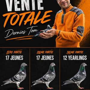 Vente Totale : Tom DERNIES Partie 1