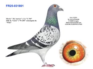 N° 1 : Fr.25 31801 Mâle