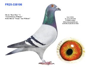 N° 2 : Fr.25 338106 Mâle