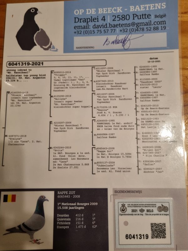 Narcisso pere du jeune offert