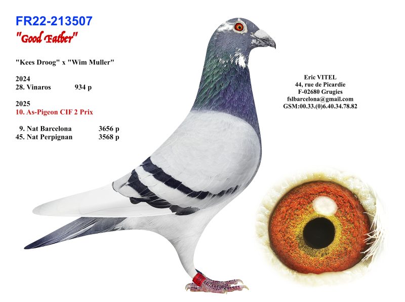 N°4 Père Good Father FR22