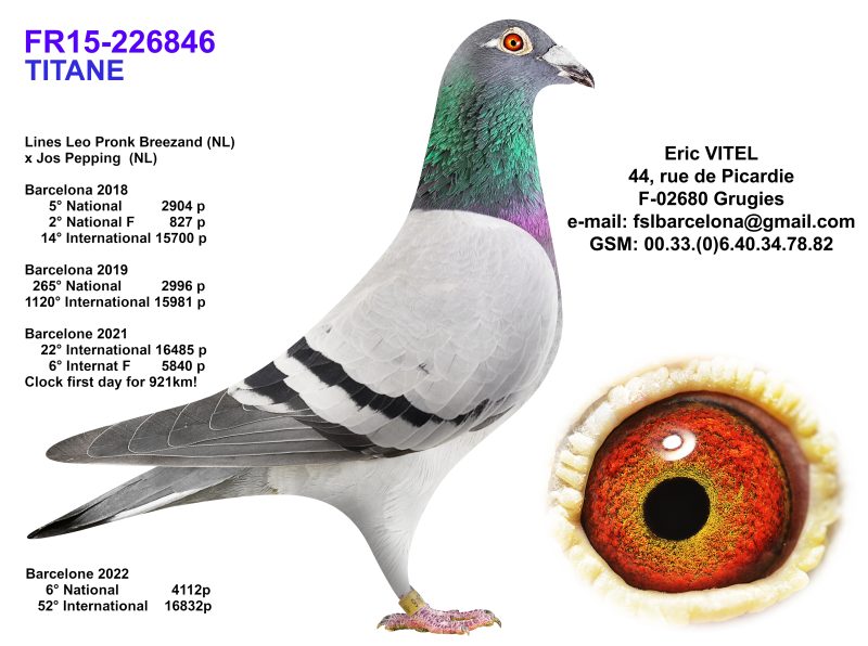 N°5 Arrière grand mère Titane FR15