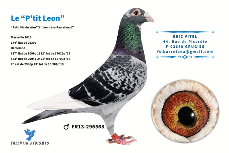 N°5 Arrière grand père Le p'tit Léon