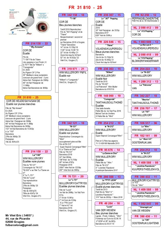 N°5 Fr.25 31810 Pedigree page
