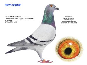 N° 6 : Fr.25 338103  Mâle