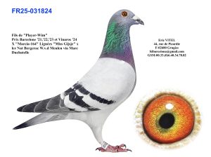 N° 7 : Fr.25 31824  Mâle