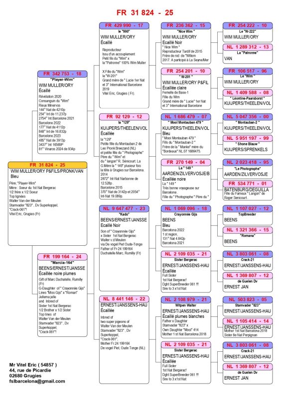 N°7 Fr.25 31824 Ped