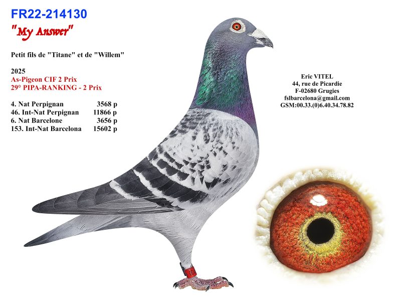Père My answer FR22