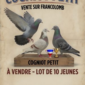 Vente : Team COGNIOT - PETIT