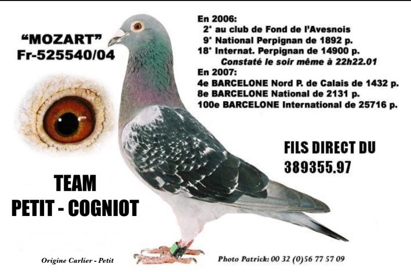 Cogniot petit 05 Mozart Petit Cogniot