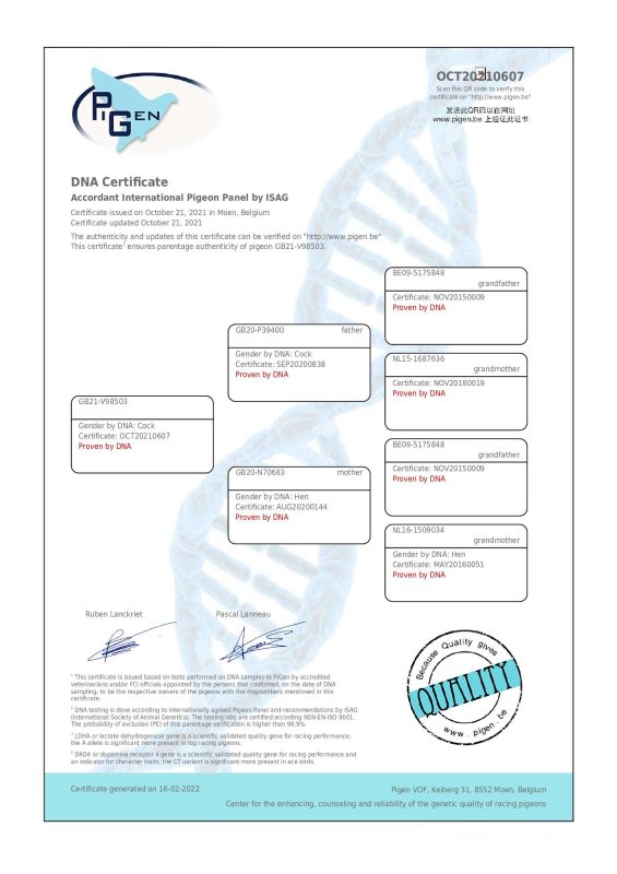 Cogniot petit 10 GB21 V98503 dna