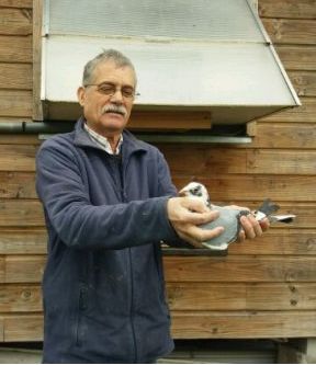 N° 02 : Abrunhosa Jose de St Ouen