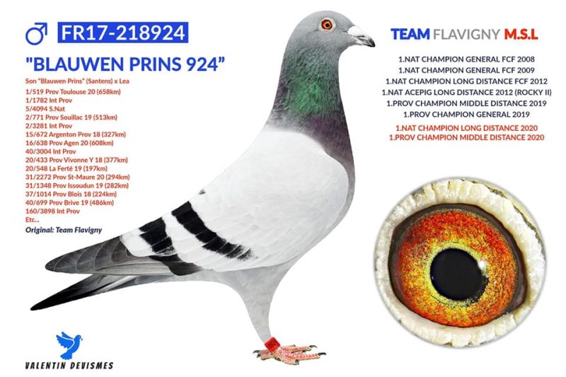 TEAM FLAVIGNY MSL (60-Fournival) – AS PIGEON NATIONAL FOND 500-750KM 2021