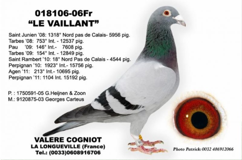 COGNIOT vaillant