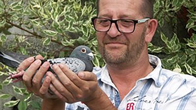 N° 17 : COUPIN JY et PH de Wasnes au Bac