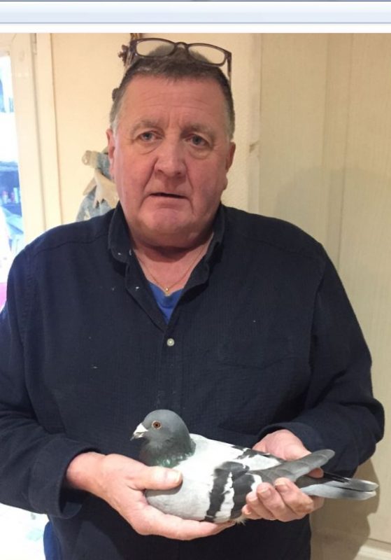 N° 17 : DURIEZ Tony de Lozinghem