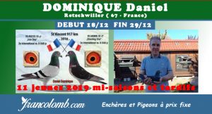 Vente : Daniel DOMINIQUE de 67250  RETSCHWILLER  :  11 jeunes 2019 mi-saisons et tardifs