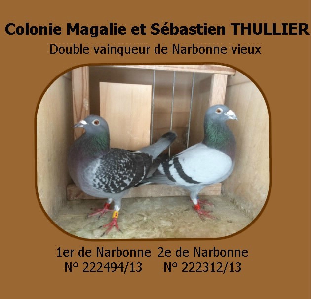 Double vainqueur Narbonne 2016