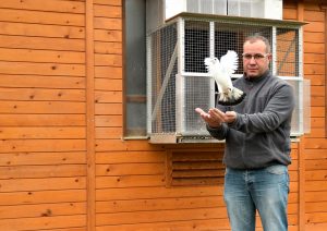 Didier Hoflack (62-Boursin) : Les 6 Plus rapides des 22534 pigeons sur Châteauroux Semi-National du 19/05/2018