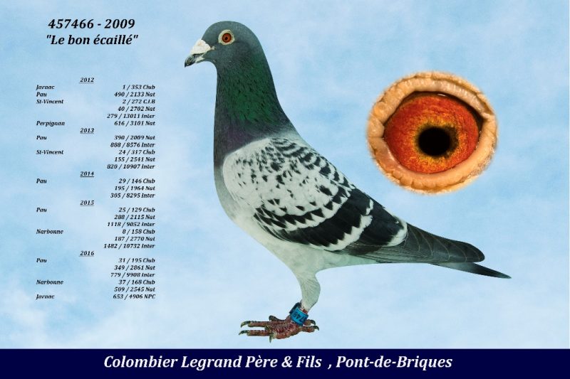 Legrand pf