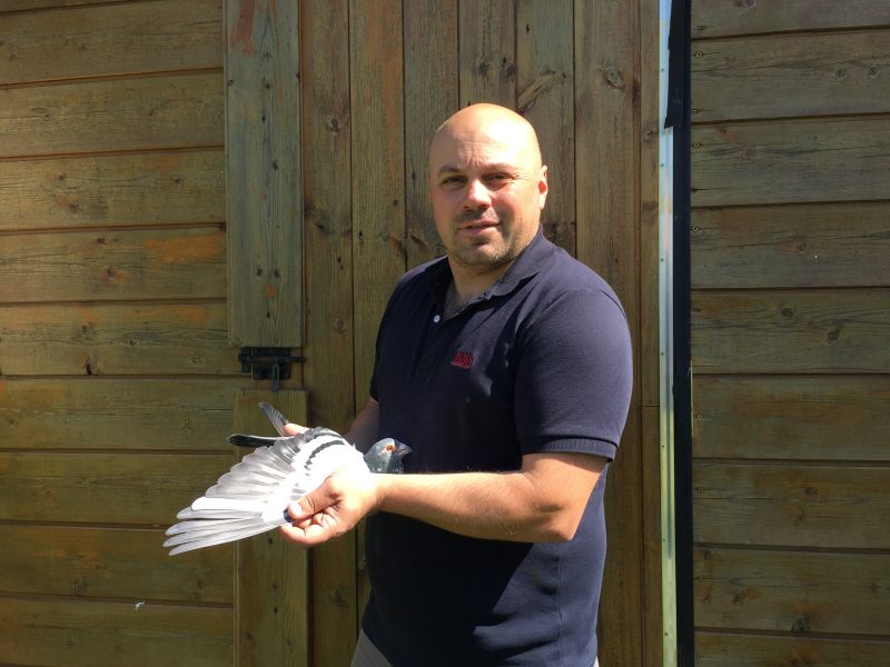 Ludovic Marquette (62-Sallaumines) : Plus rapide des 4831 pigeons sur Châteaudun du 28/04/2018