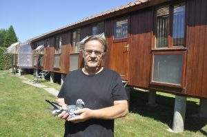 N° 6 : Alain MOTHERON