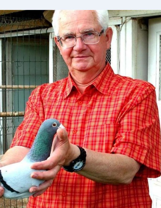 N° 56 : NOEZ Sylvère de Emmerin