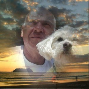 Vente : Joël PESANT