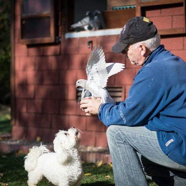 Vente : Joël PESANT Spécial BARCELONE - 3