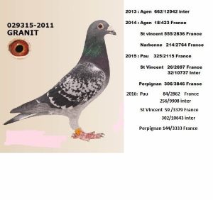 alain et valerie Pocholle - Morbecque - 029315-2011 Granit