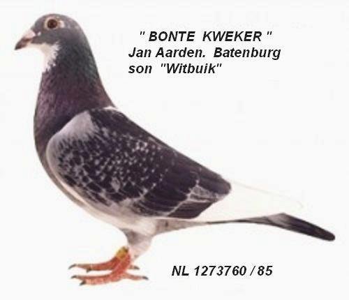 batenburg Bonte Kweker