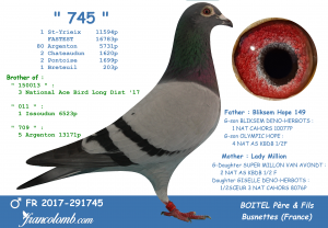 FR 2017-291745 :  » 745  » – 1. St-Yrieix 11594 Vieux – Plus Rapide des 16783 pigeons