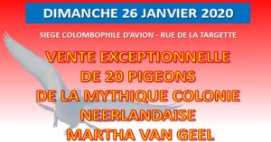 MARTHA VAN GEEL (NL) – 1ère IATP Ranking 2019