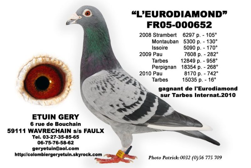 etuin gery eurodiamond