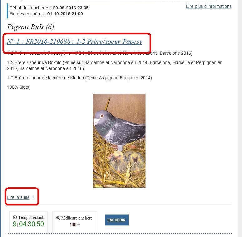 faq encheres acces detail pigeon