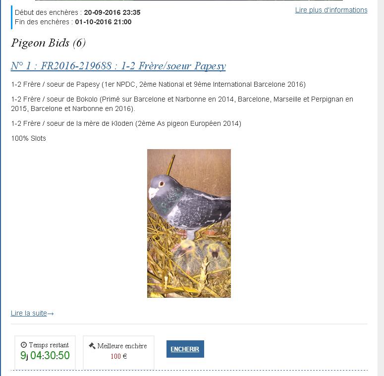 faq encheres liste pigeons