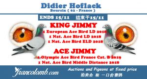Vente : Didier Hoflack de Boursin (62) : KING JIMMY & ACE JIMMY Special