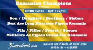 Vente : Les Champions de la Roumanie
