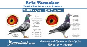 Vente : Eric Vanacker (02-Pouilly sur Serre) :